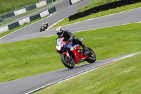 cadwell-no-limits-trackday;cadwell-park;cadwell-park-photographs;cadwell-trackday-photographs;enduro-digital-images;event-digital-images;eventdigitalimages;no-limits-trackdays;peter-wileman-photography;racing-digital-images;trackday-digital-images;trackday-photos